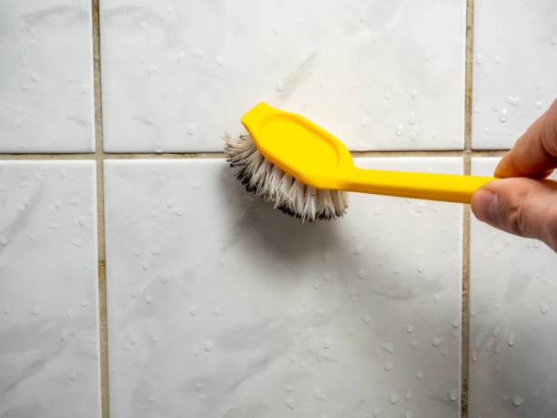Best Water Damage Restoration  in Beverly, NJ