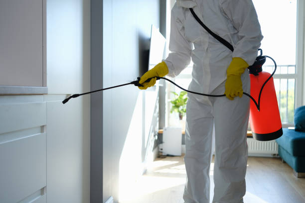 Best Affordable Mold Removal  in Beverly, NJ